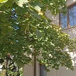 Villa Fonyod *
