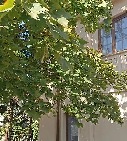 Villa Fonyód *