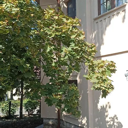 Villa Fonyod Διαμέρισμα *