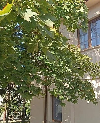 Villa Fonyód *